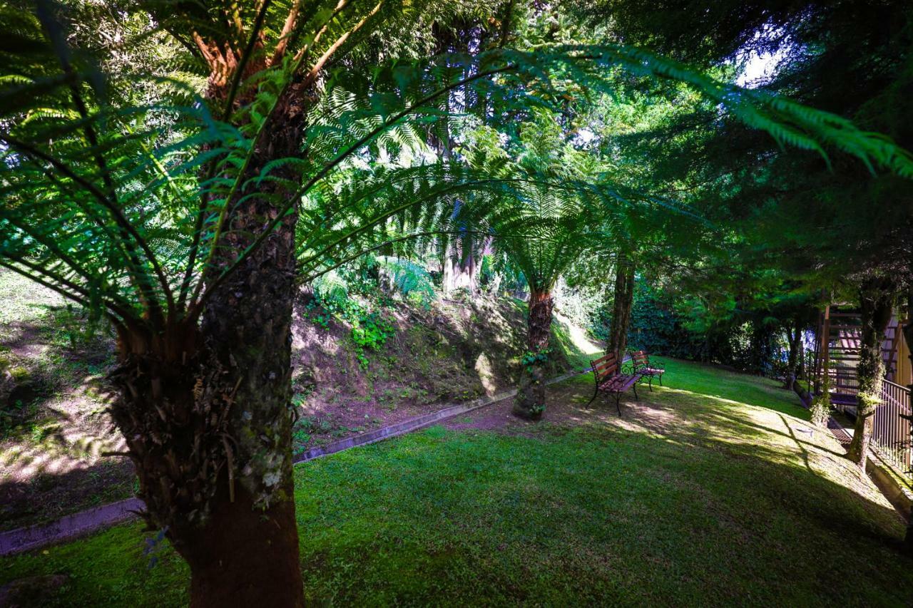 Cammino Della Serra カネラ エクステリア 写真
